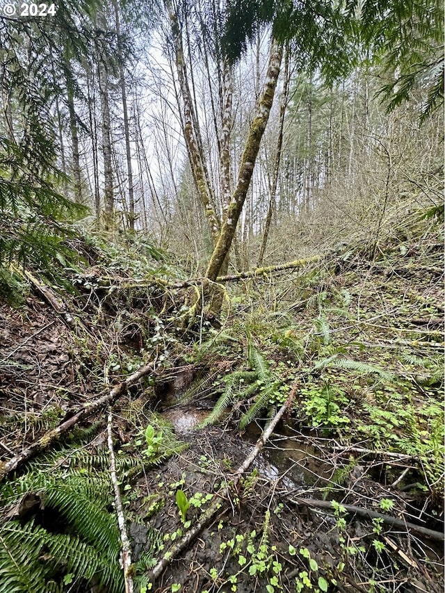 view of local wilderness