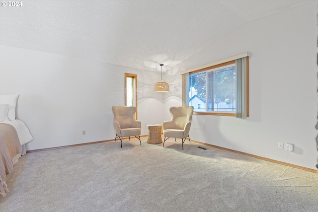 sitting room featuring a textured ceiling, carpet, and vaulted ceiling