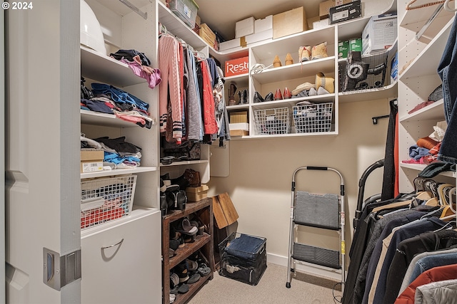 spacious closet featuring light colored carpet