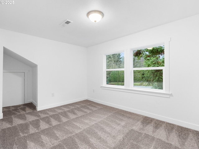 additional living space featuring carpet