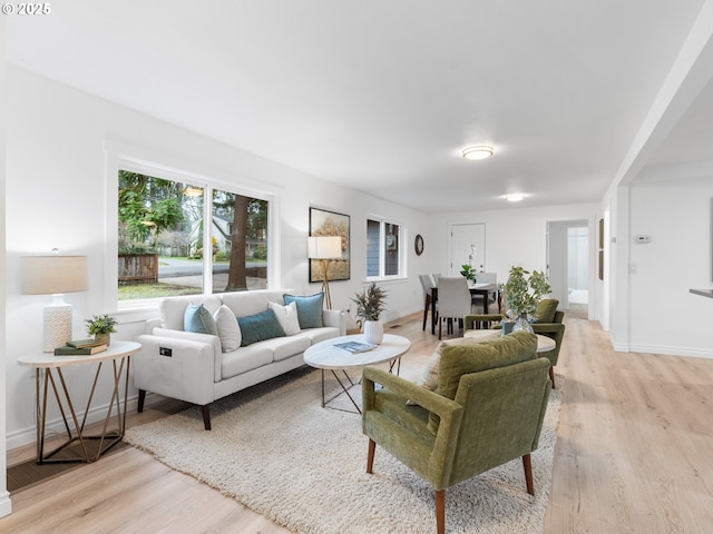 living room featuring light hardwood / wood-style floors