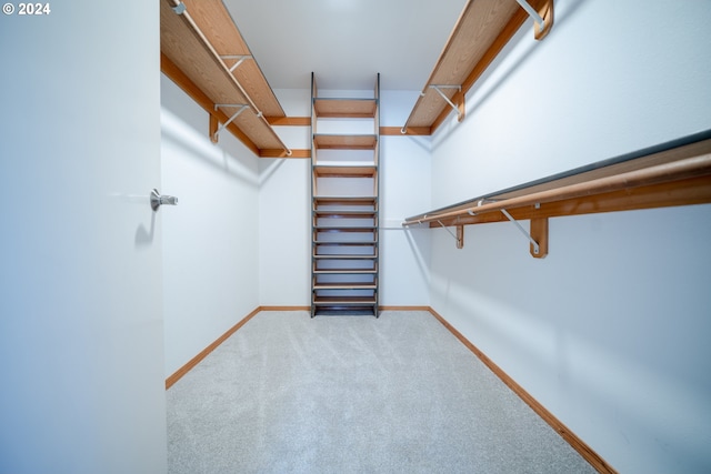 walk in closet featuring light colored carpet