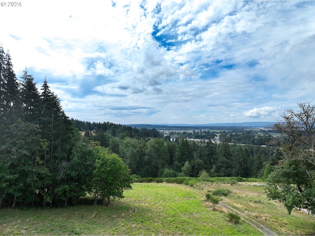 1 NW 389th St, Woodland WA, 98674 land for sale