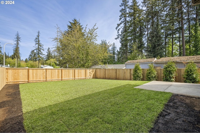 view of yard featuring a patio area