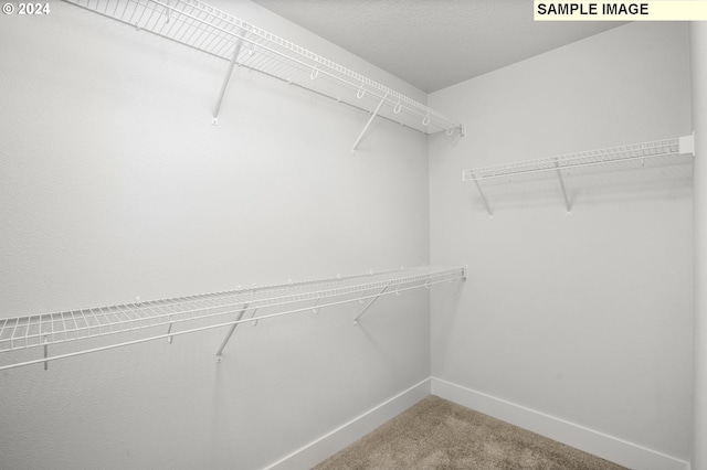 spacious closet with carpet