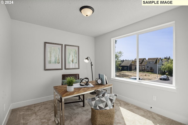 carpeted home office featuring a textured ceiling and plenty of natural light