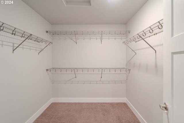 spacious closet with carpet