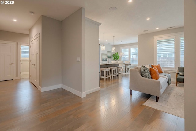 living room featuring sink and light wood-type flooring