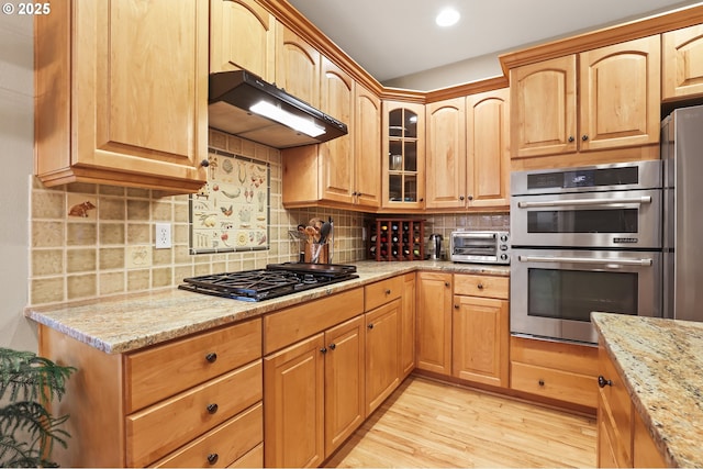 kitchen with light stone countertops, decorative backsplash, stainless steel appliances, and light hardwood / wood-style flooring