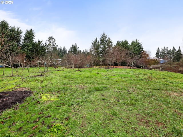 view of yard featuring a rural view