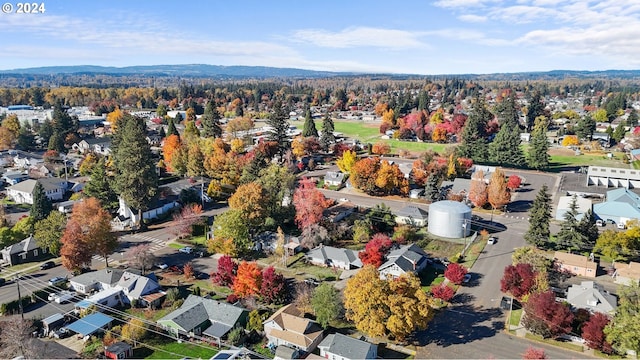 bird's eye view