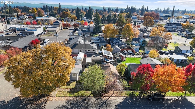 bird's eye view