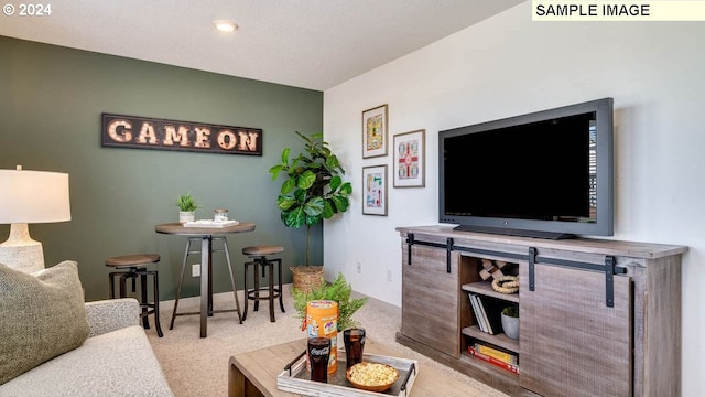 living area with carpet floors