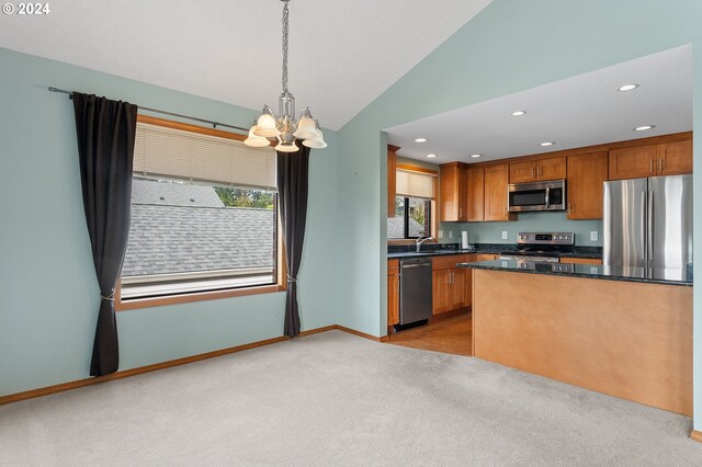 kitchen featuring light carpet, plenty of natural light, and stainless steel appliances