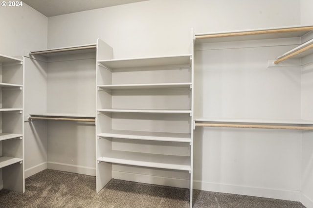 walk in closet with dark colored carpet