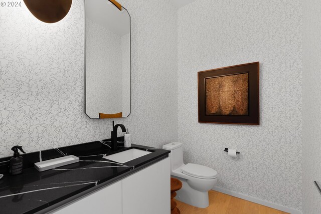 bathroom featuring toilet, hardwood / wood-style flooring, and vanity