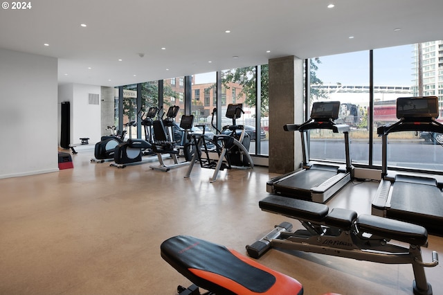 gym with expansive windows