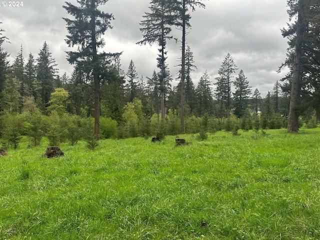 view of local wilderness