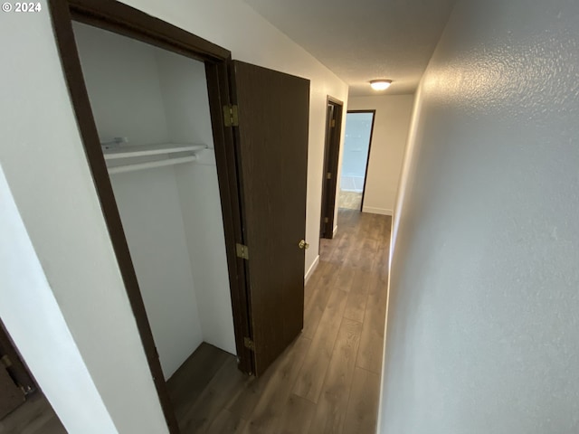 hallway featuring wood-type flooring