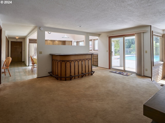 unfurnished living room with a textured ceiling and light colored carpet