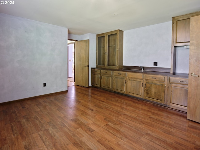 kitchen with dark hardwood / wood-style flooring and sink