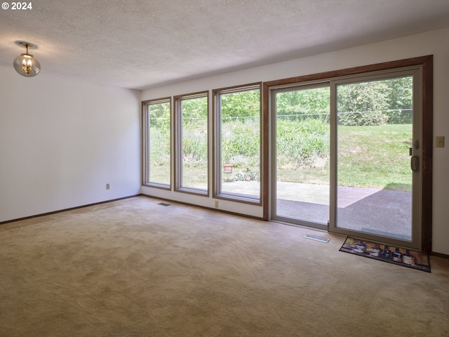 unfurnished room with carpet, plenty of natural light, and a textured ceiling