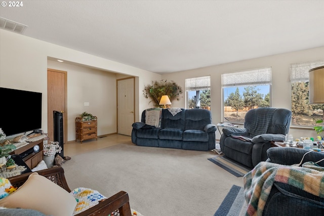 living room with carpet