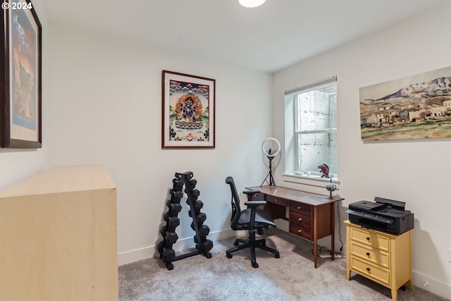 office space with light colored carpet