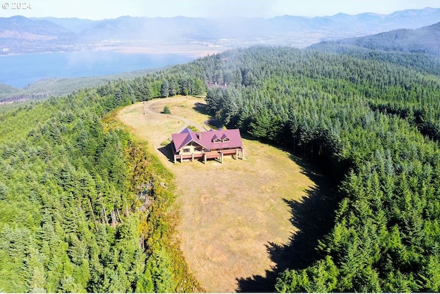 bird's eye view featuring a mountain view