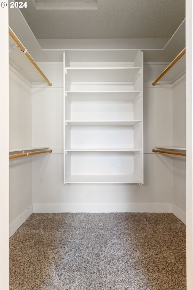 walk in closet featuring carpet floors