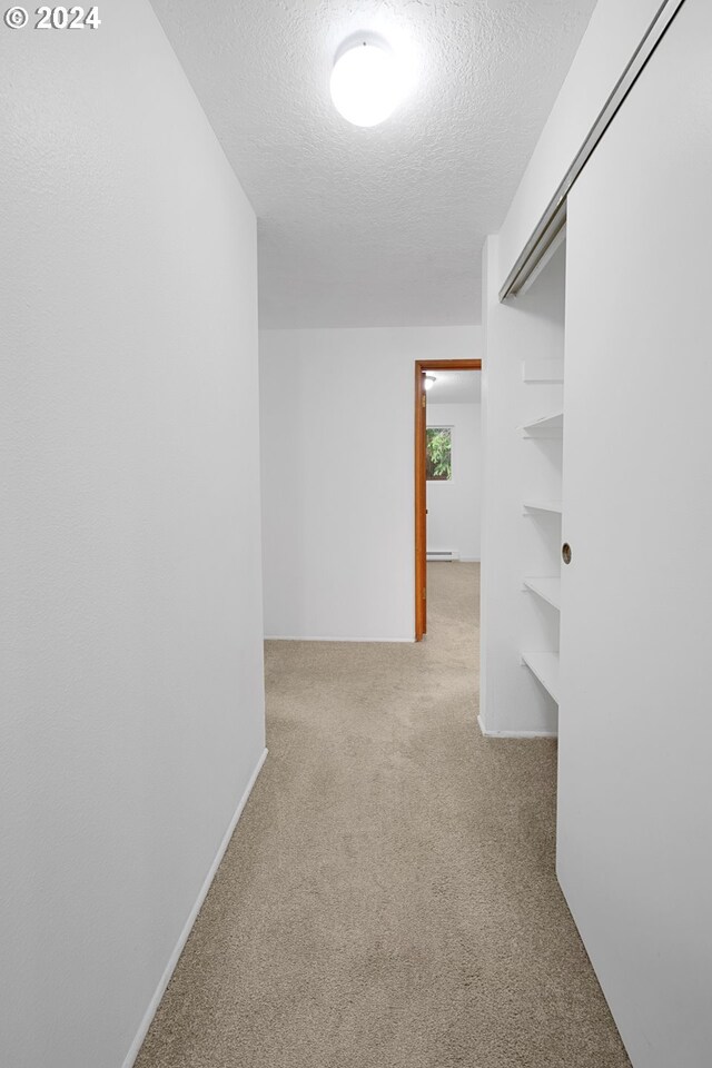 spacious closet with light colored carpet