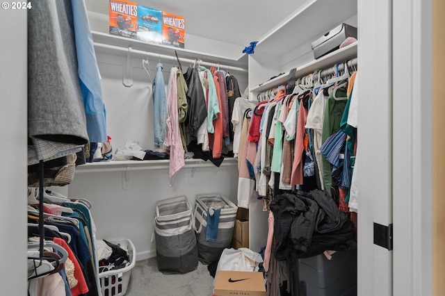 spacious closet featuring carpet