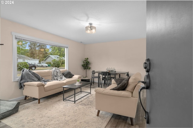 living room with light hardwood / wood-style flooring