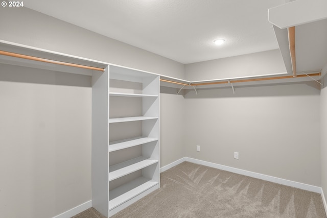 spacious closet featuring carpet flooring