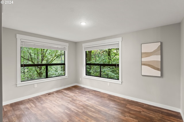 empty room with a wealth of natural light, dark hardwood / wood-style flooring, and a textured ceiling