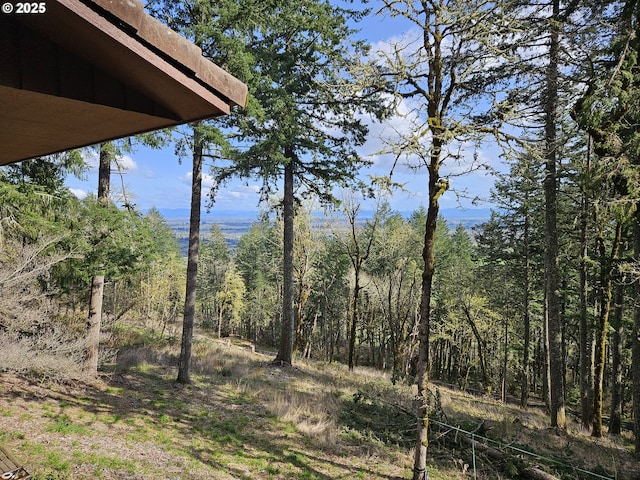 1550 NW Emperor Dr, Corvallis, OR 97330 - view of landscape featuring a forest view