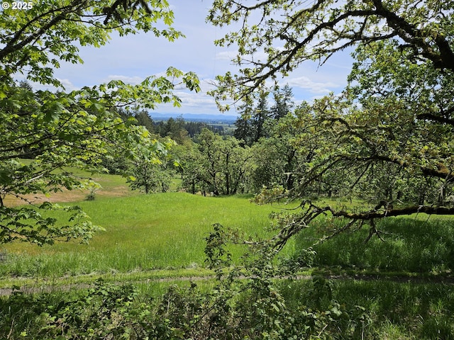 1550 NW Emperor Dr, Corvallis, OR 97330 - view of local wilderness featuring a view of trees