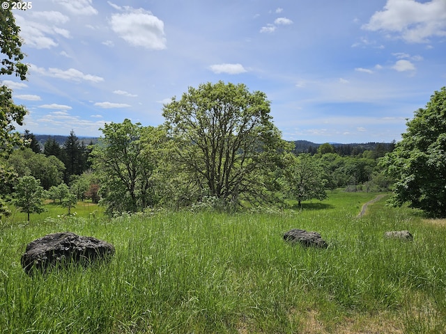 1550 NW Emperor Dr, Corvallis, OR 97330 - view of local wilderness featuring a view of trees
