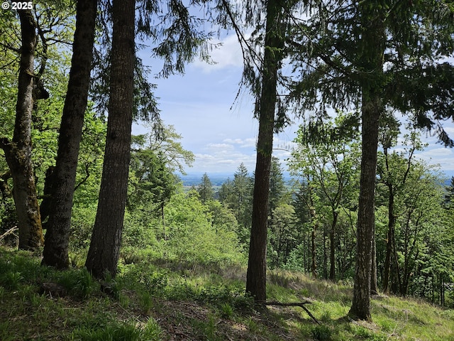 1550 NW Emperor Dr, Corvallis, OR 97330 - view of local wilderness with a view of trees