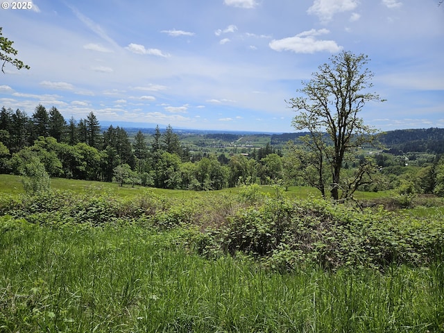 1550 NW Emperor Dr, Corvallis, OR 97330 - property view of mountains with a view of trees