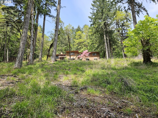 1550 NW Emperor Dr, Corvallis, OR 97330 - view of yard featuring a forest view