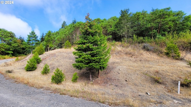 Laurel Butte Dr Unit 3700, Oakridge OR, 97463 land for sale