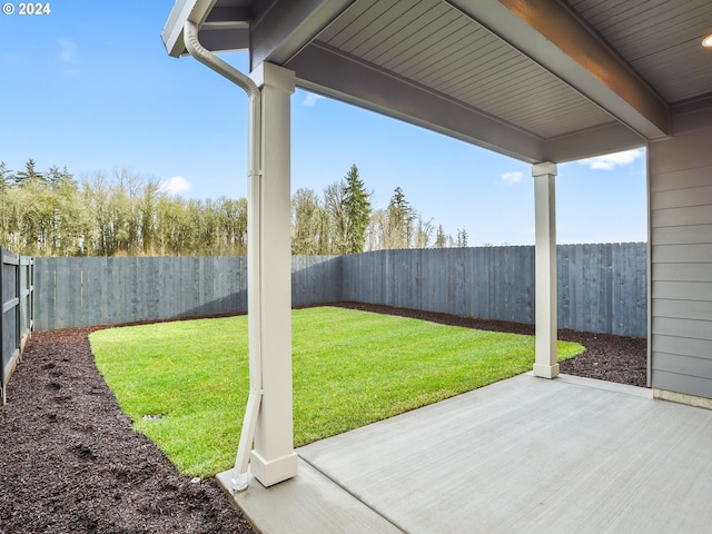 view of yard featuring a patio area