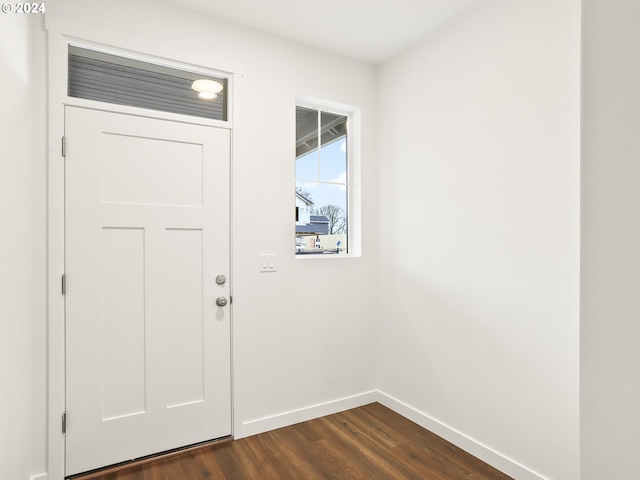 entrance foyer with dark hardwood / wood-style floors