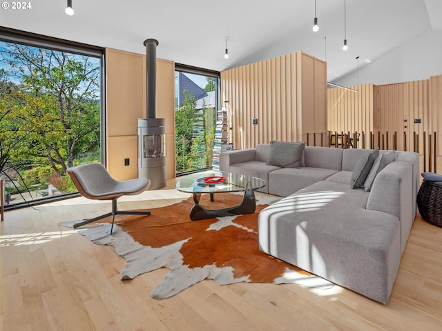 living room with light hardwood / wood-style flooring, a wood stove, and plenty of natural light