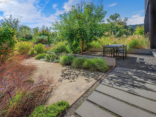 view of yard with a patio area