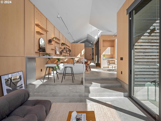 living room featuring high vaulted ceiling