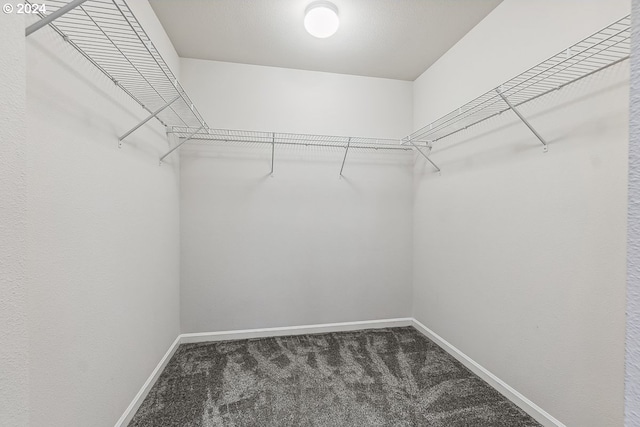 spacious closet featuring dark carpet