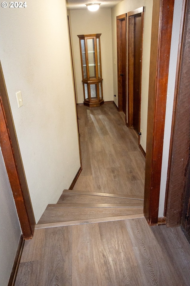 hallway with wood finished floors