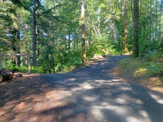 view of street featuring a view of trees